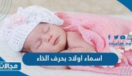 اسماء اولاد بحرف الخاء خ 2023 ومعانيها