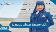 كم راتب مضيفة طيران سعودية 2023
